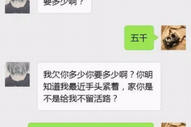 淘宝店铺贷款催收：应对策略与案例分析